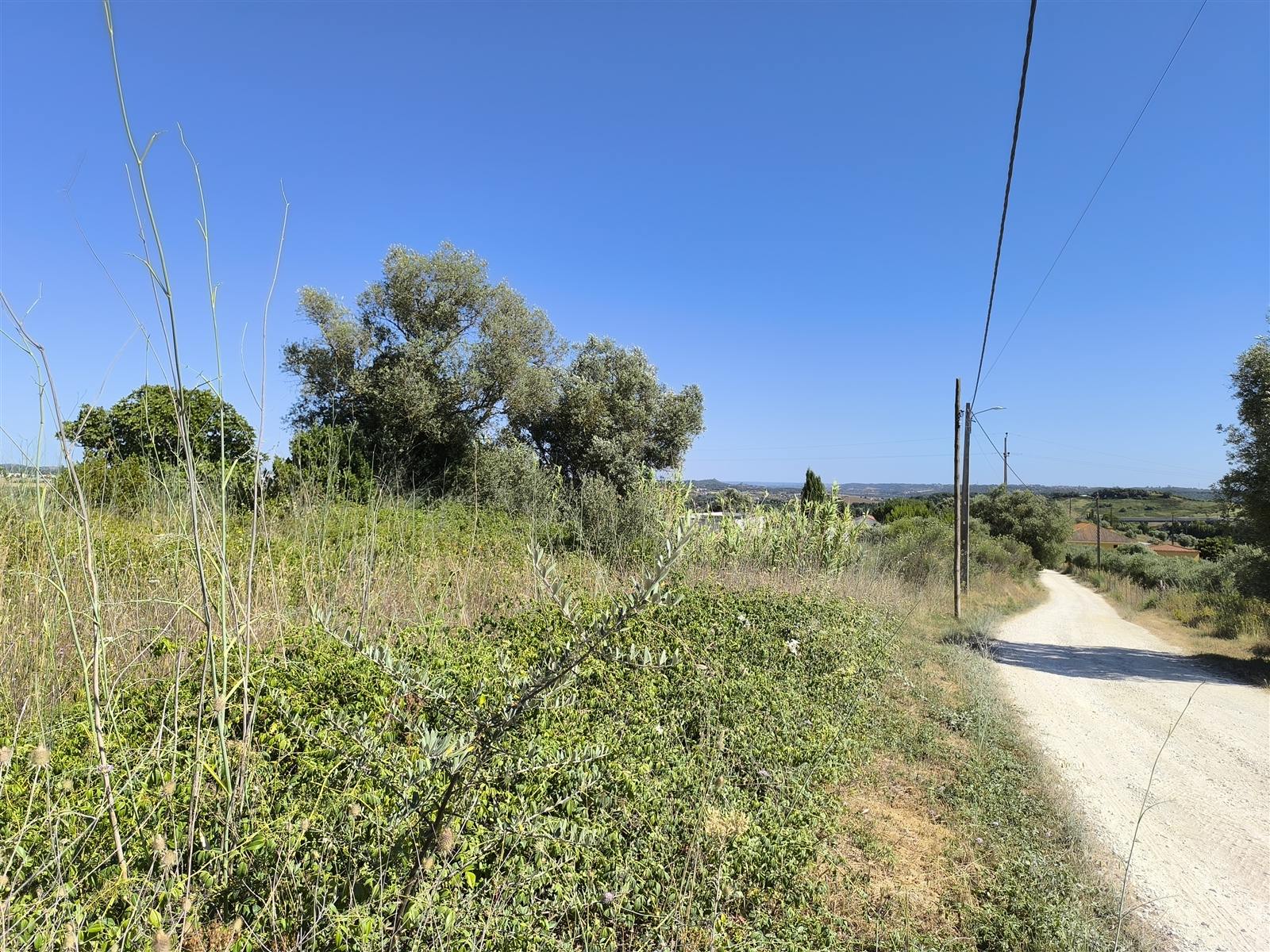 Terreno 6